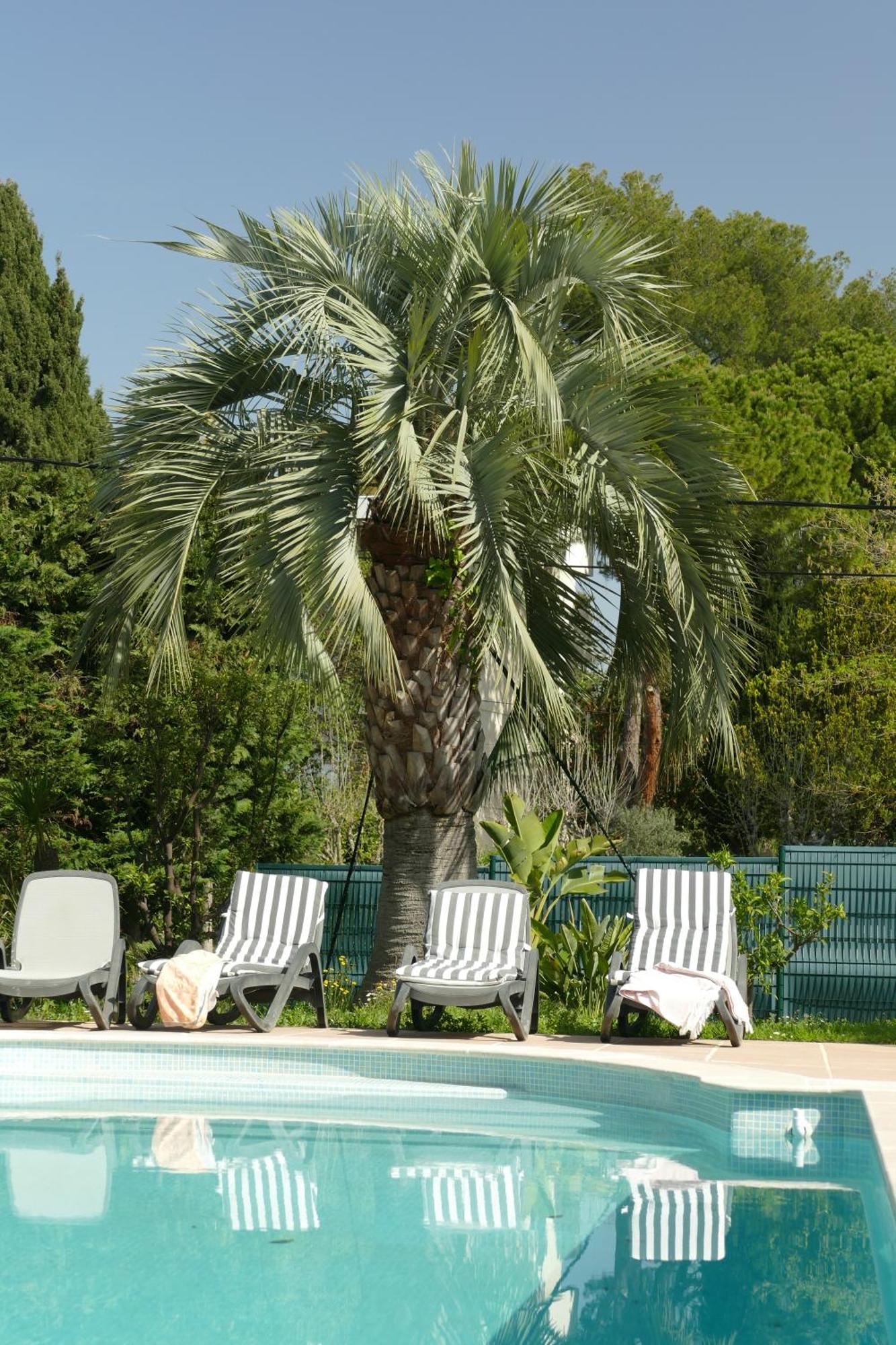 Villa Alessia Antibes Esterno foto